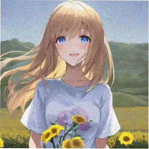 读者夜航灯头像